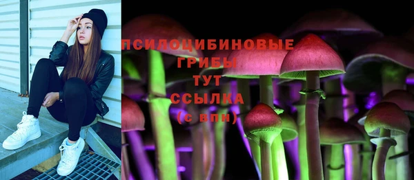 mix Алексин