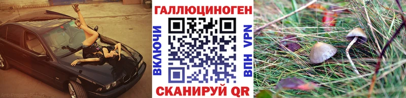 Галлюциногенные грибы Cubensis  Липки 